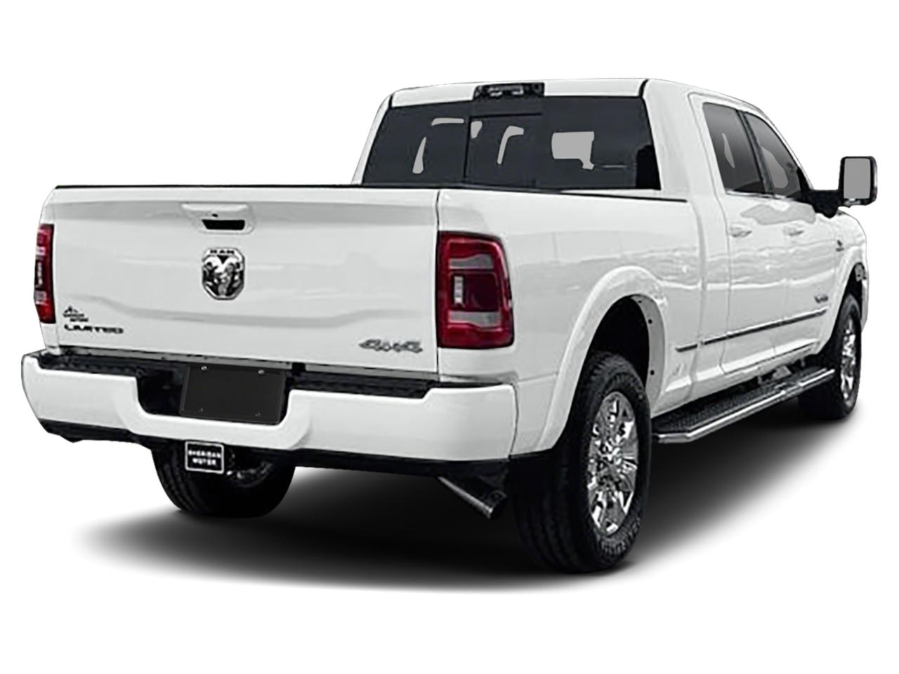 2024 Ram 2500 Vehicle Photo in SELMA, TX 78154-1460