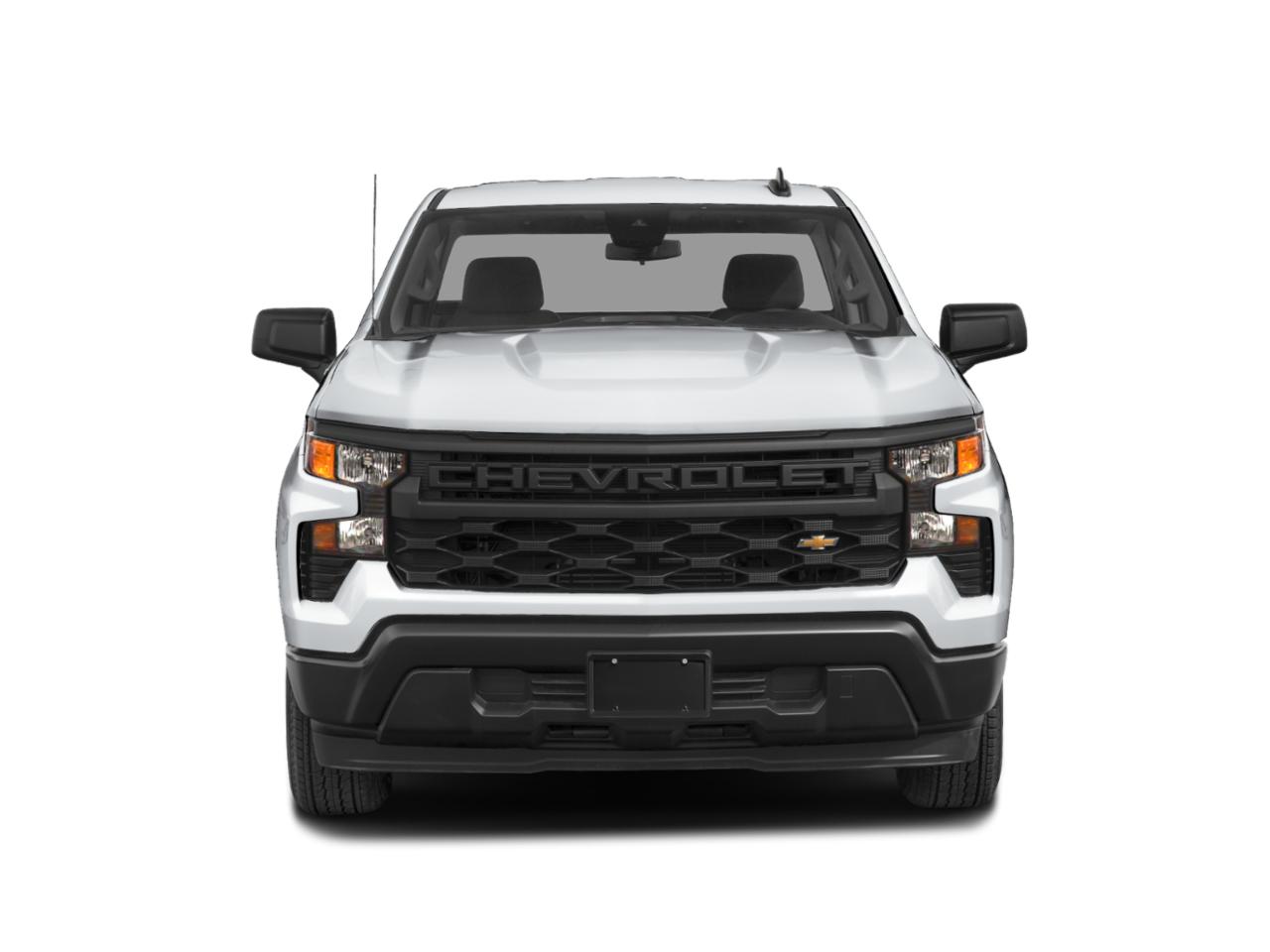 2025 Chevrolet Silverado 1500 Vehicle Photo in Denton, TX 76205
