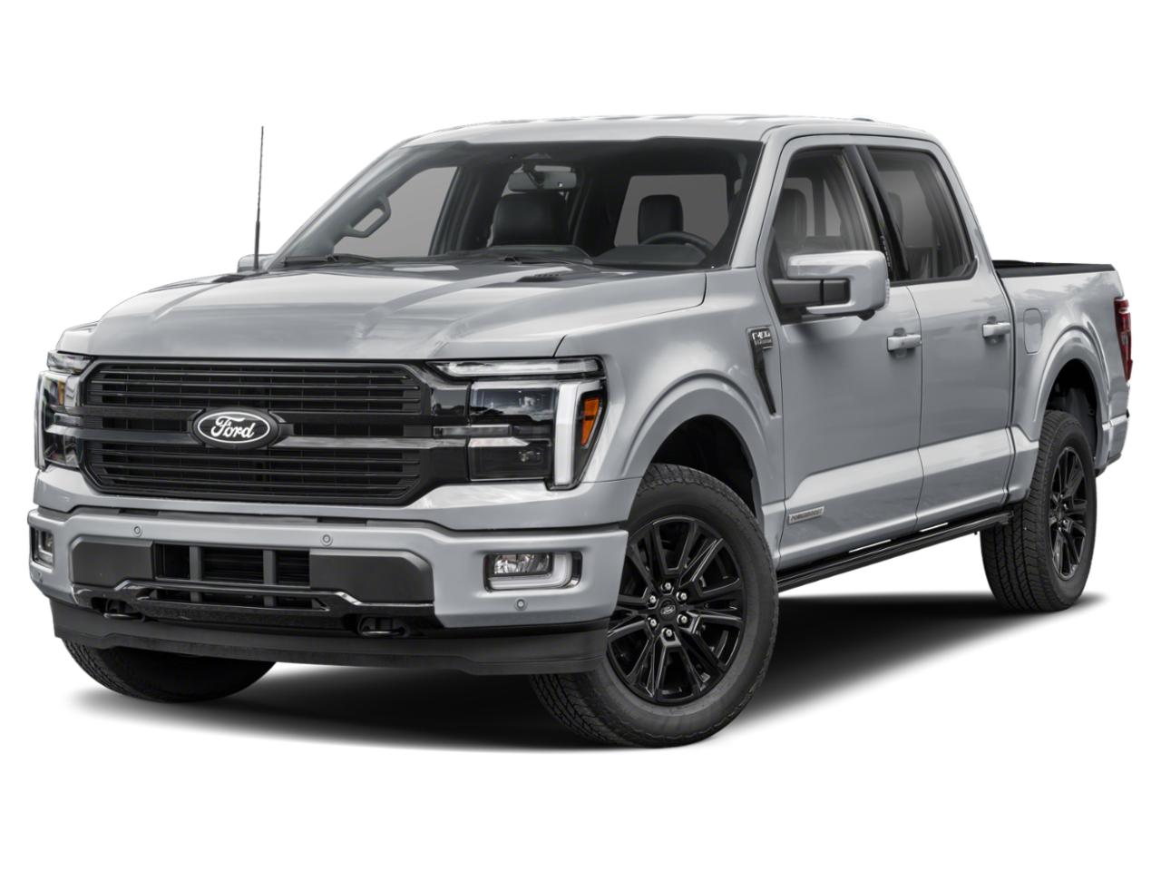 2025 Ford F-150 Vehicle Photo in Weatherford, TX 76087