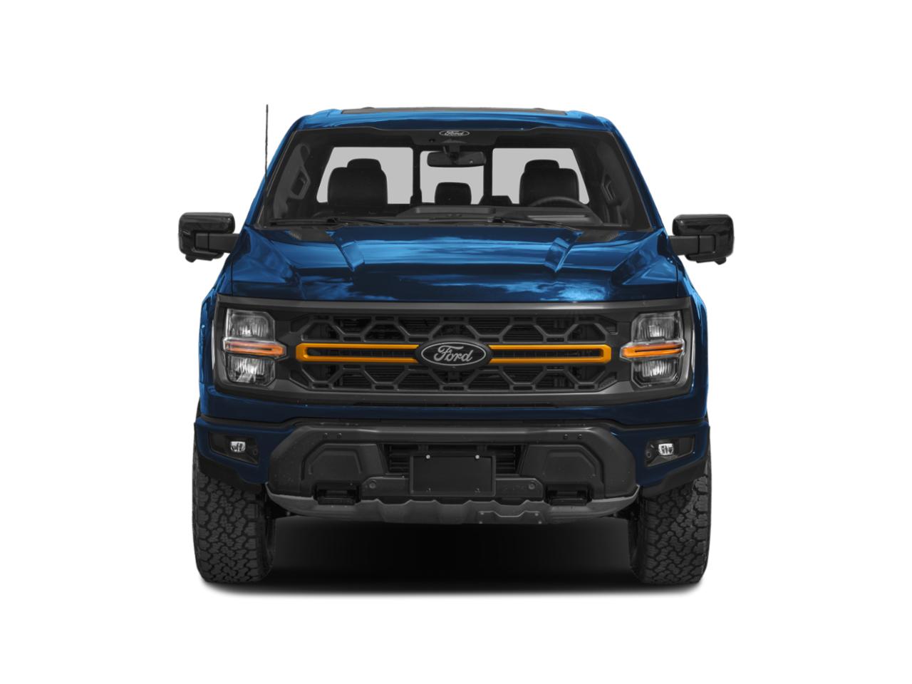 2025 Ford F-150 Vehicle Photo in Weatherford, TX 76087