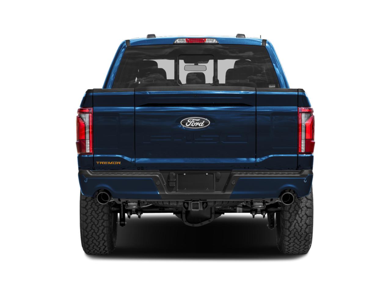 2025 Ford F-150 Vehicle Photo in Weatherford, TX 76087