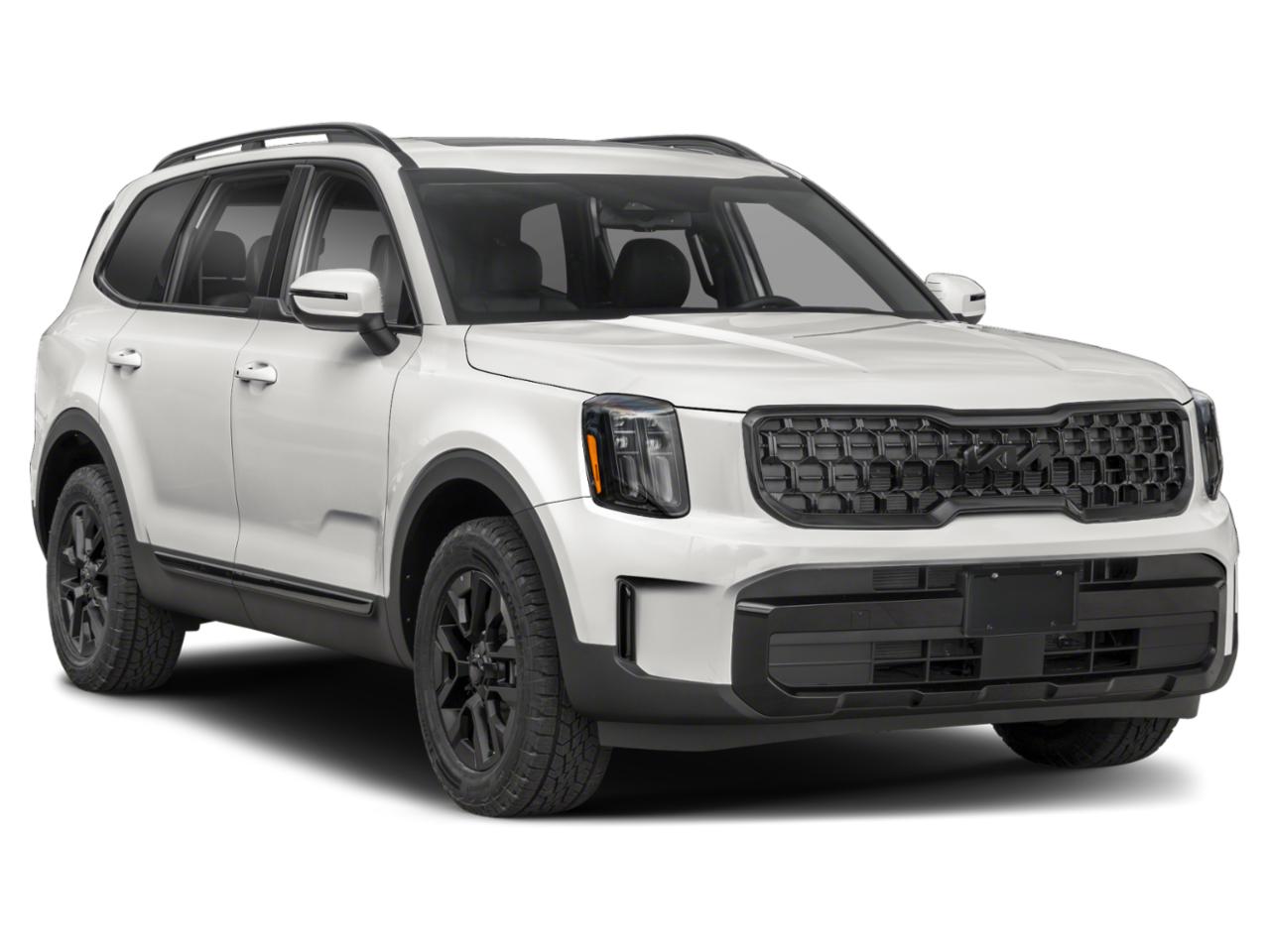 2025 Kia Telluride Vehicle Photo in Westbrook, ME 04092