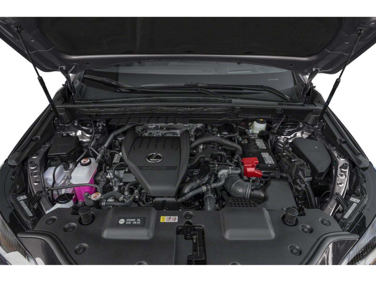 2025 Lexus NX 350 Vehicle Photo in Willow Grove, PA 19090