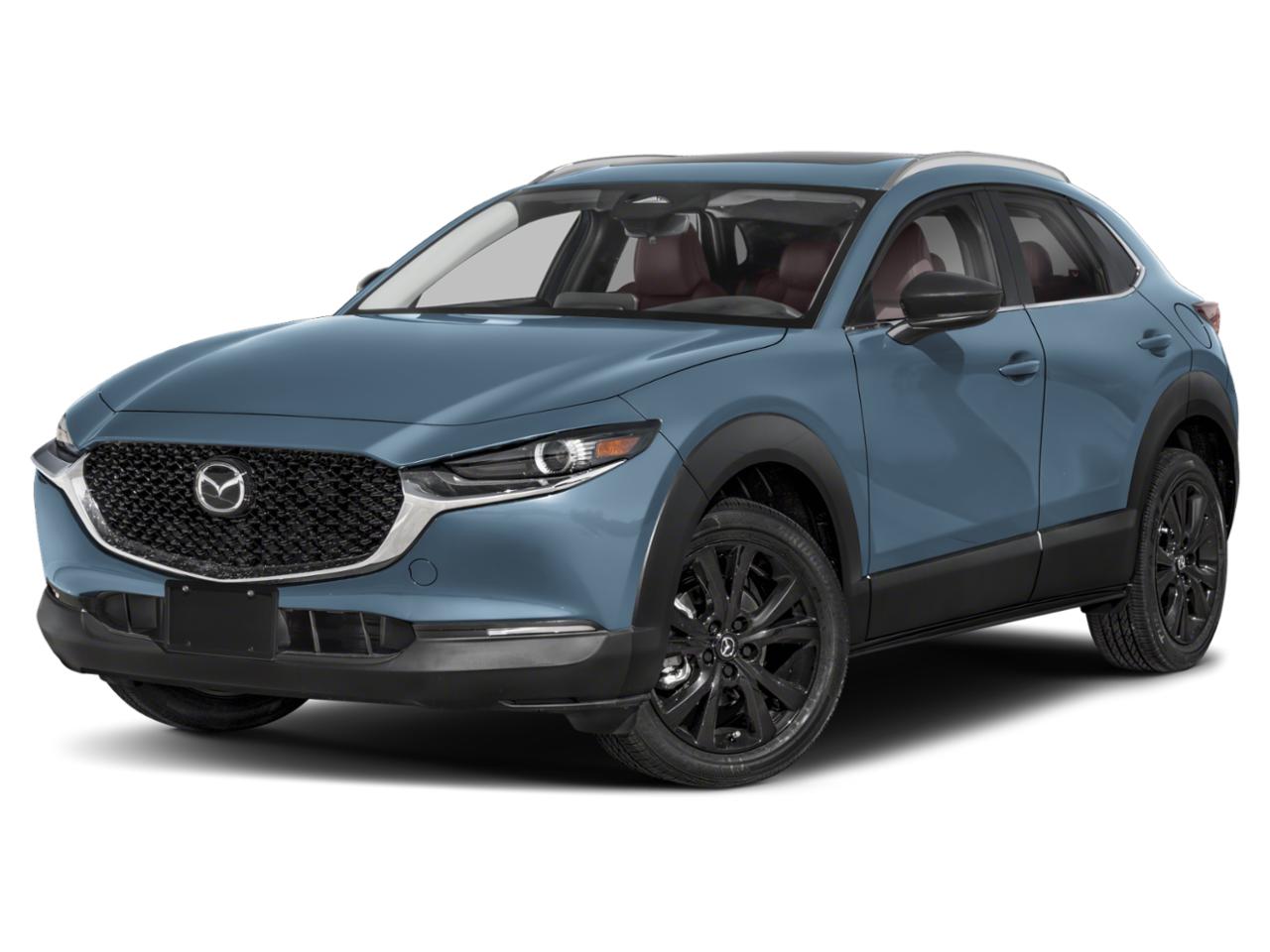 2025 Mazda CX-30 Vehicle Photo in Appleton, WI 54913