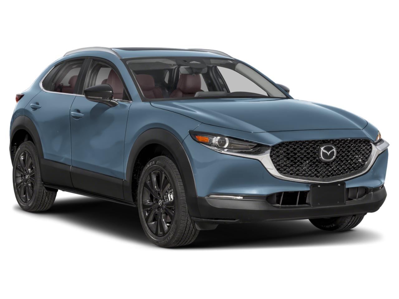 2025 Mazda CX-30 Vehicle Photo in Appleton, WI 54913
