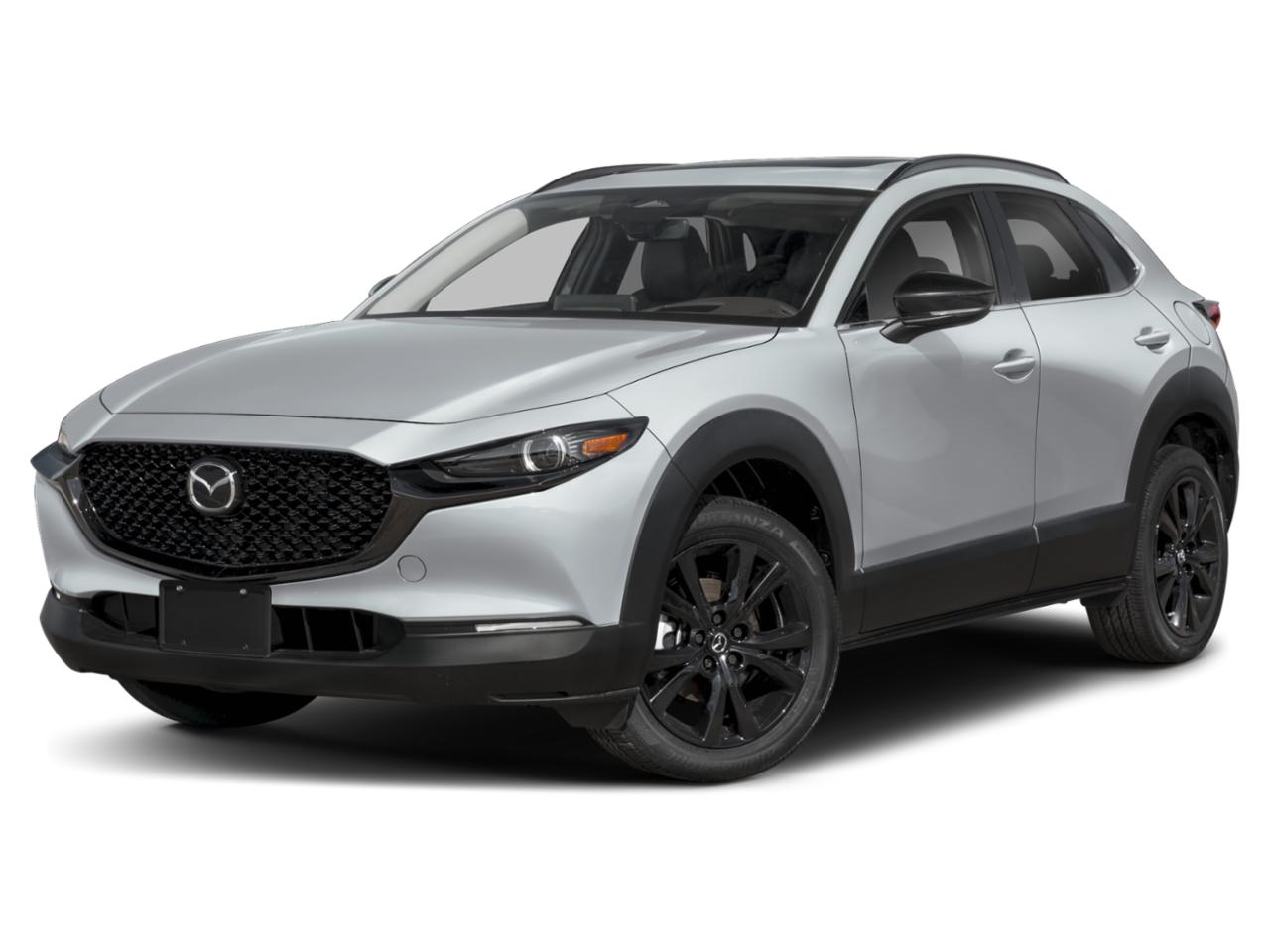 2025 Mazda CX-30 Vehicle Photo in Appleton, WI 54913