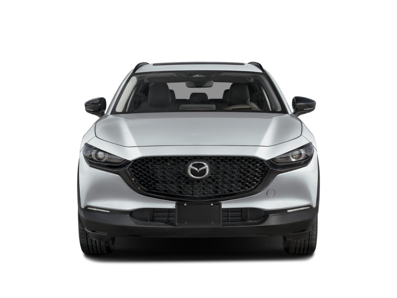 2025 Mazda CX-30 Vehicle Photo in Appleton, WI 54913