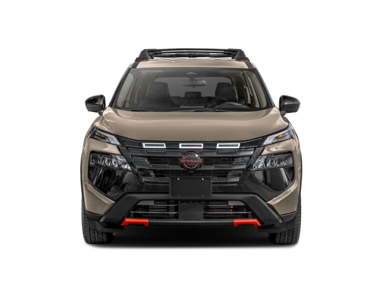 2025 Nissan Rogue Vehicle Photo in Flemington, NJ 08822