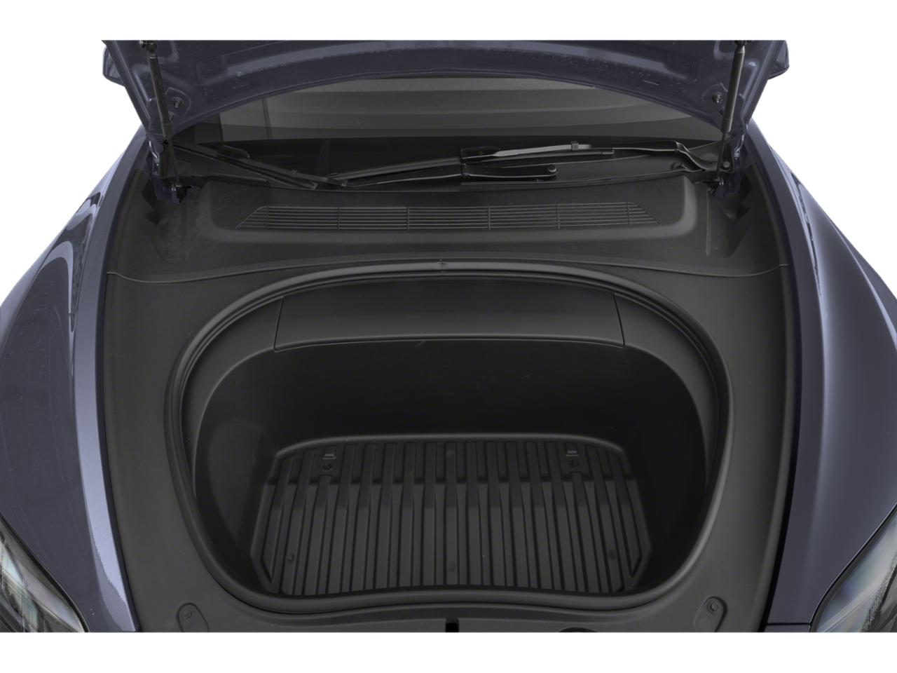 2025 Tesla Model 3 Vehicle Photo in POOLER, GA 31322-3252