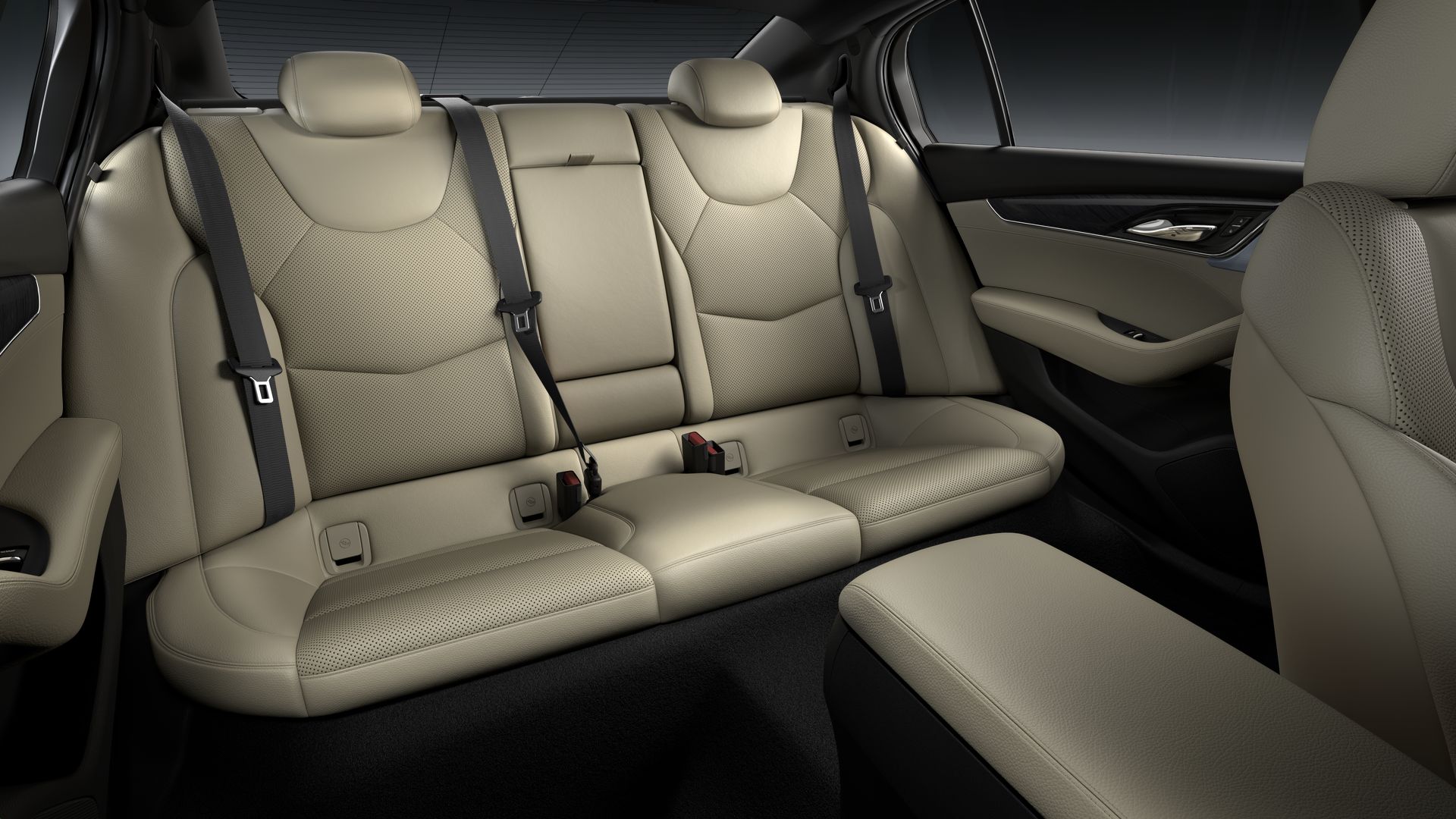 2024 Cadillac CT5 Vehicle Photo in SAVANNAH, GA 31406-4513