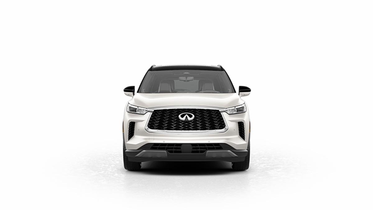 2024 INFINITI QX60 Vehicle Photo in Willow Grove, PA 19090