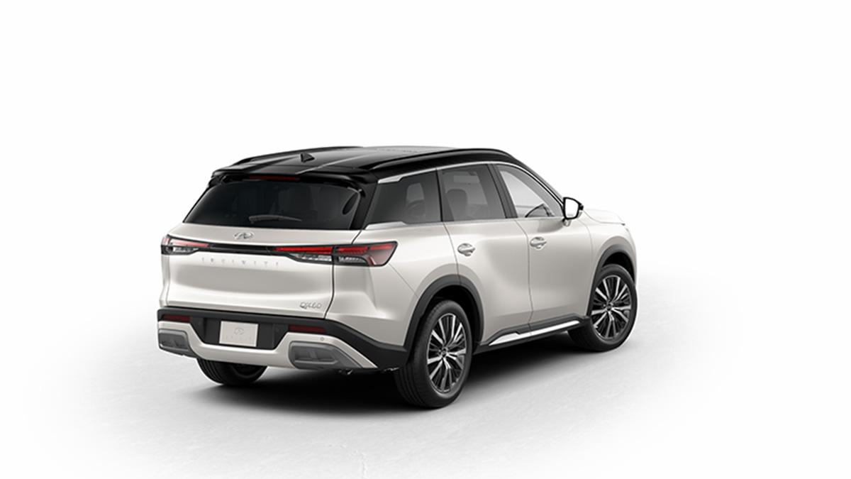 2024 INFINITI QX60 Vehicle Photo in Willow Grove, PA 19090