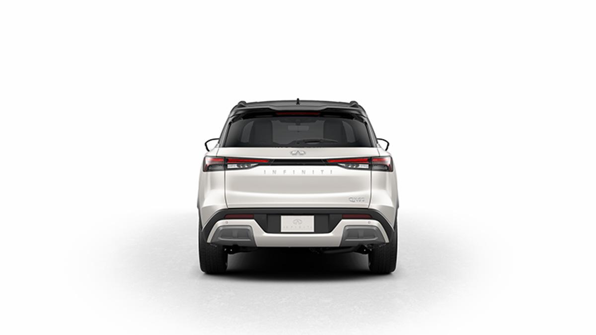 2024 INFINITI QX60 Vehicle Photo in Willow Grove, PA 19090