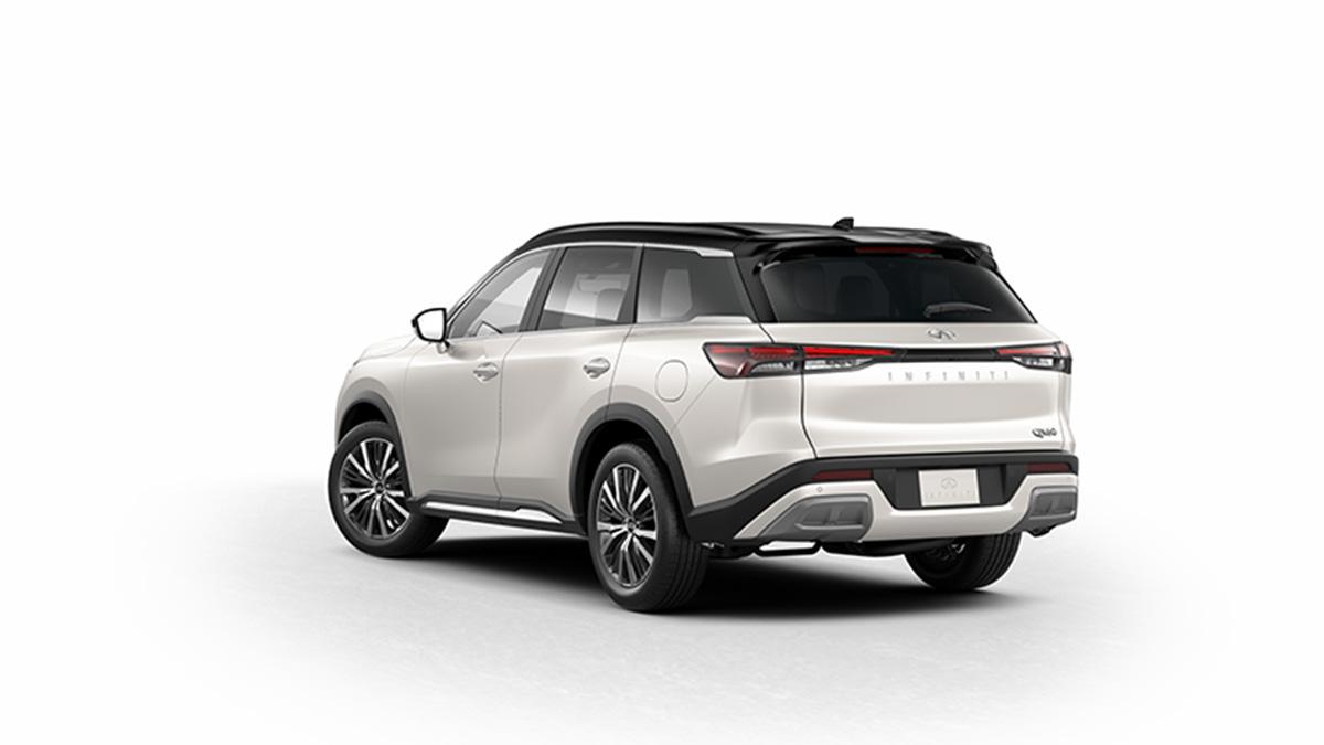 2024 INFINITI QX60 Vehicle Photo in Willow Grove, PA 19090