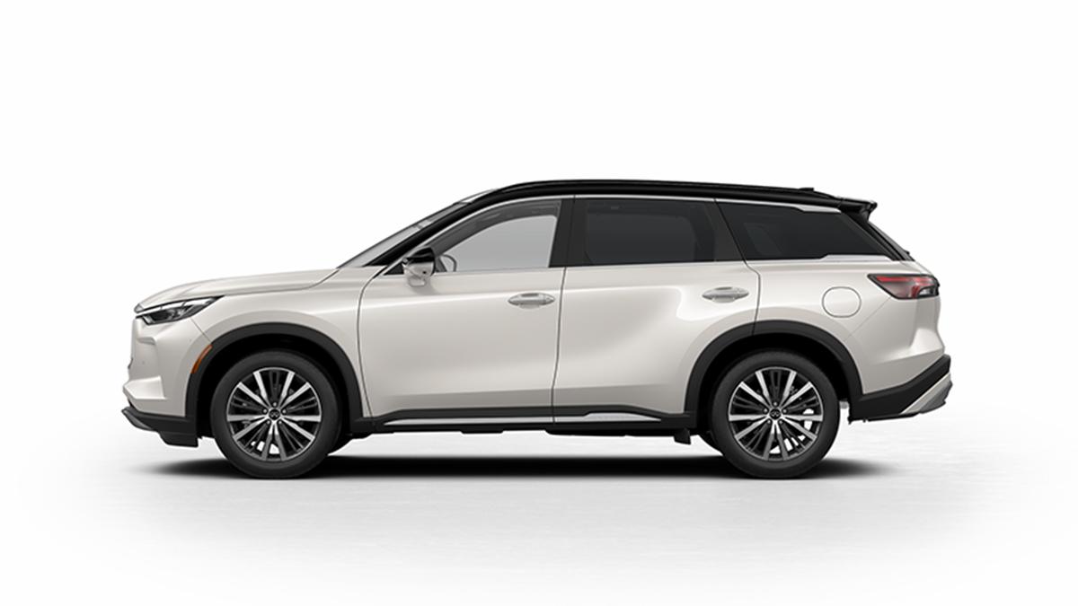 2024 INFINITI QX60 Vehicle Photo in Willow Grove, PA 19090