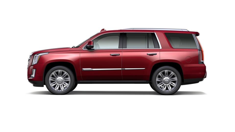2019 Cadillac Escalade Vehicle Photo in TOPEKA, KS 66609-0000