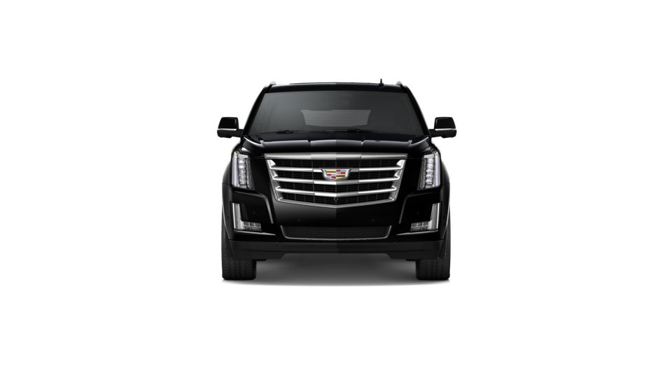 2020 Cadillac Escalade ESV Vehicle Photo in BRIDGMAN, MI 49106-9548