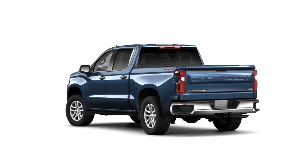 2019 Chevrolet Silverado 1500 Vehicle Photo in SELMA, TX 78154-1459