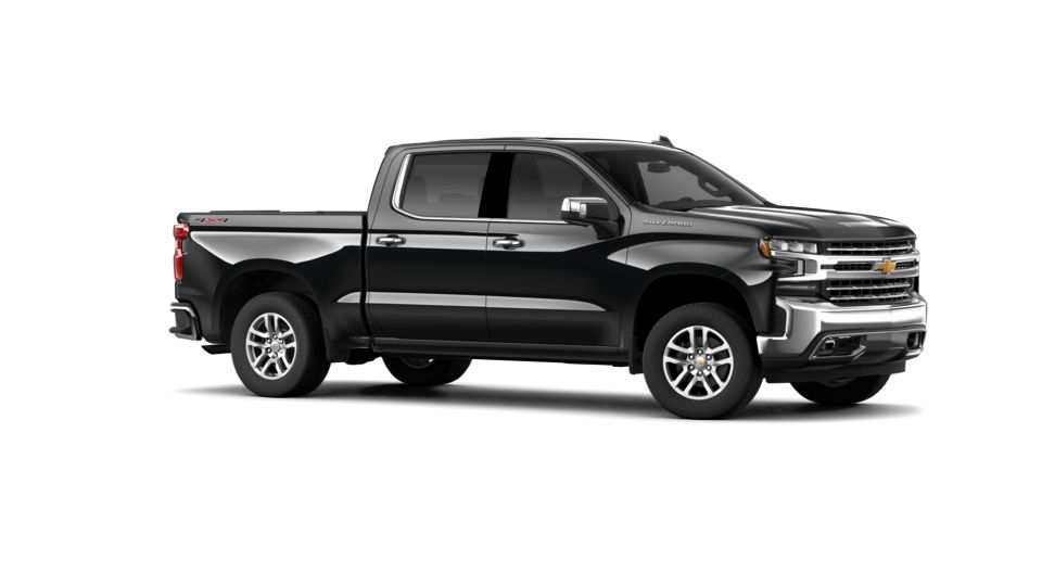 2019 Chevrolet Silverado 1500 Vehicle Photo in SAN ANTONIO, TX 78254-9999