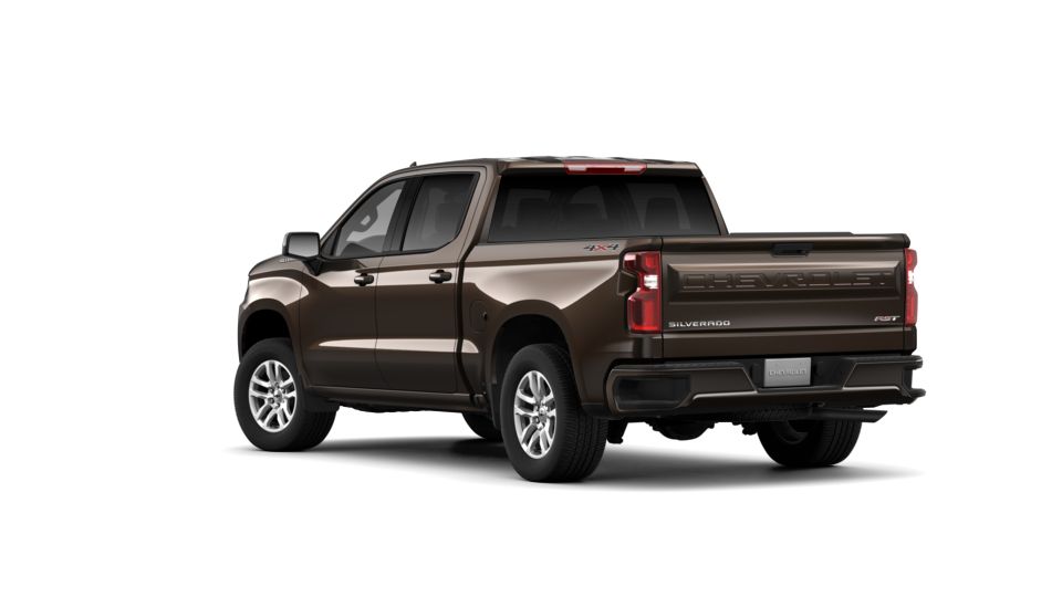 2019 Chevrolet Silverado 1500 Vehicle Photo in HARRISBURG, PA 17111-1033