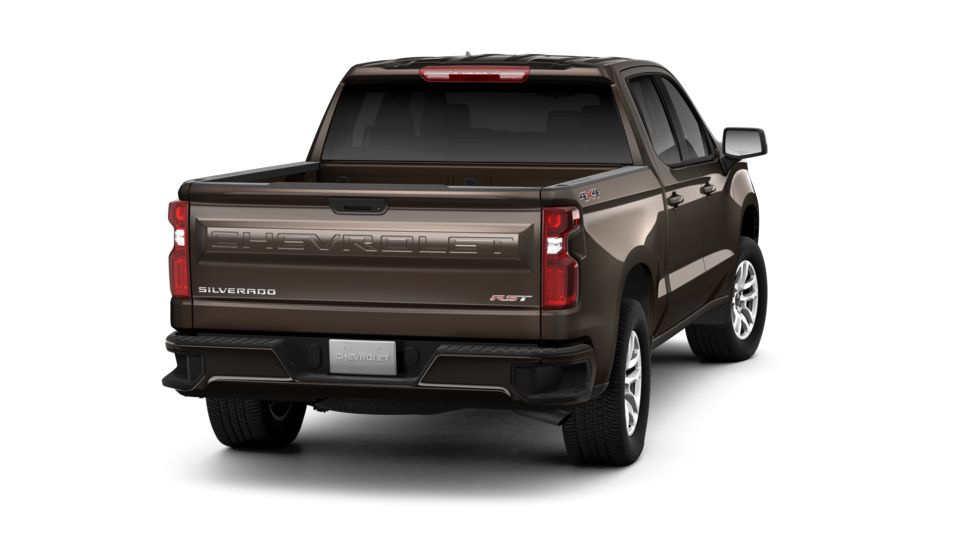 2019 Chevrolet Silverado 1500 Vehicle Photo in HARRISBURG, PA 17111-1033