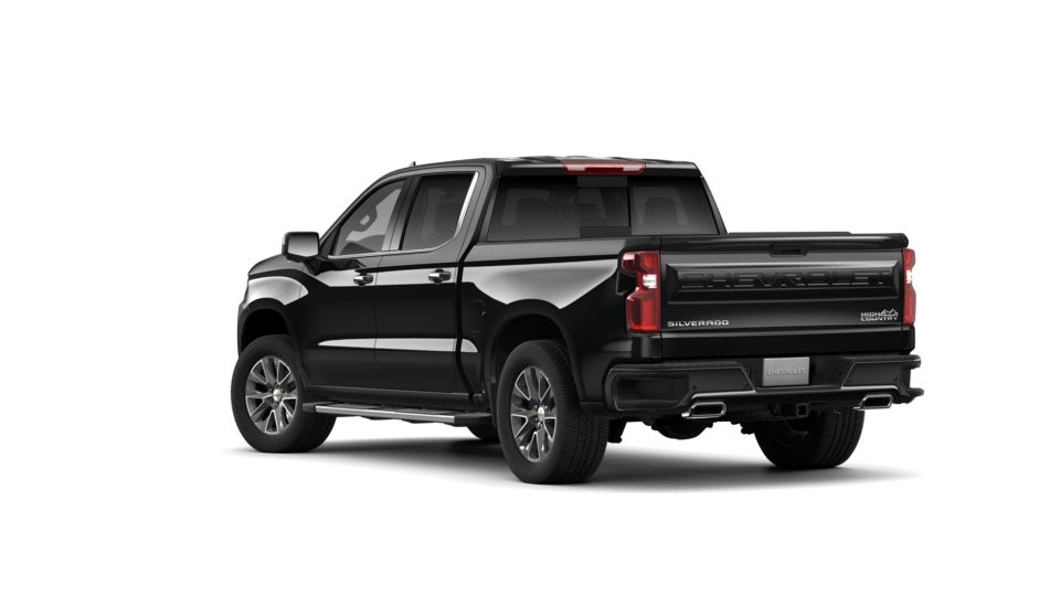 2019 Chevrolet Silverado 1500 Vehicle Photo in SELMA, TX 78154-1459
