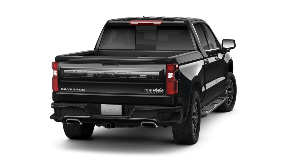 2019 Chevrolet Silverado 1500 Vehicle Photo in SELMA, TX 78154-1459