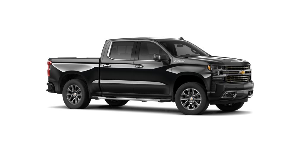 2019 Chevrolet Silverado 1500 Vehicle Photo in SELMA, TX 78154-1459