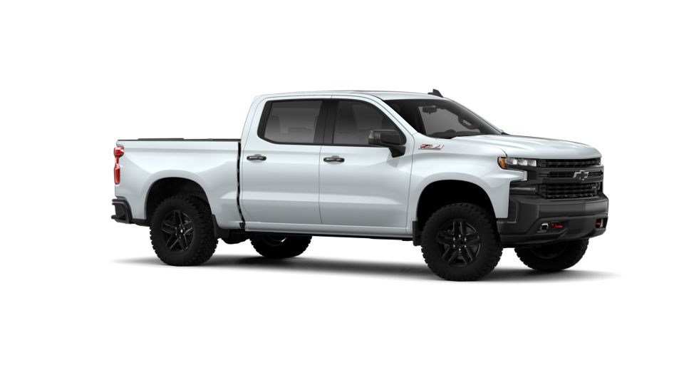 2019 Chevrolet Silverado 1500 Vehicle Photo in EVERETT, WA 98203-5662