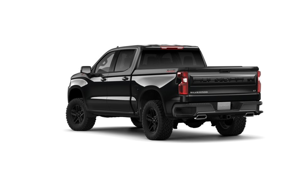 2019 Chevrolet Silverado 1500 Vehicle Photo in BEAUFORT, SC 29906-4218