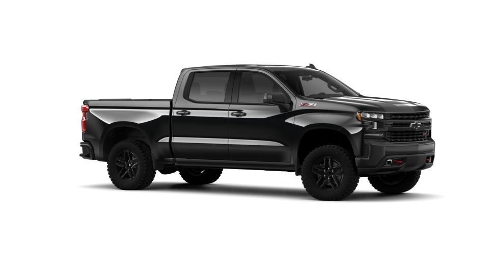 2019 Chevrolet Silverado 1500 Vehicle Photo in BEAUFORT, SC 29906-4218