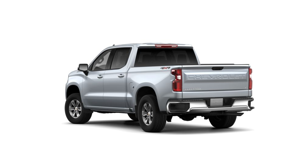 2019 Chevrolet Silverado 1500 Vehicle Photo in BRUNSWICK, GA 31525-1881