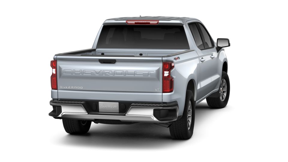 2019 Chevrolet Silverado 1500 Vehicle Photo in BRUNSWICK, GA 31525-1881