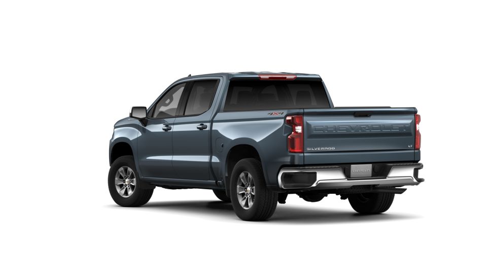2019 Chevrolet Silverado 1500 Vehicle Photo in SAVANNAH, GA 31406-4513