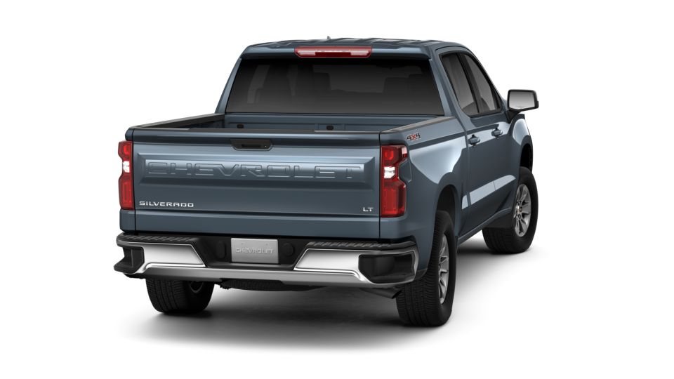 2019 Chevrolet Silverado 1500 Vehicle Photo in SAVANNAH, GA 31406-4513