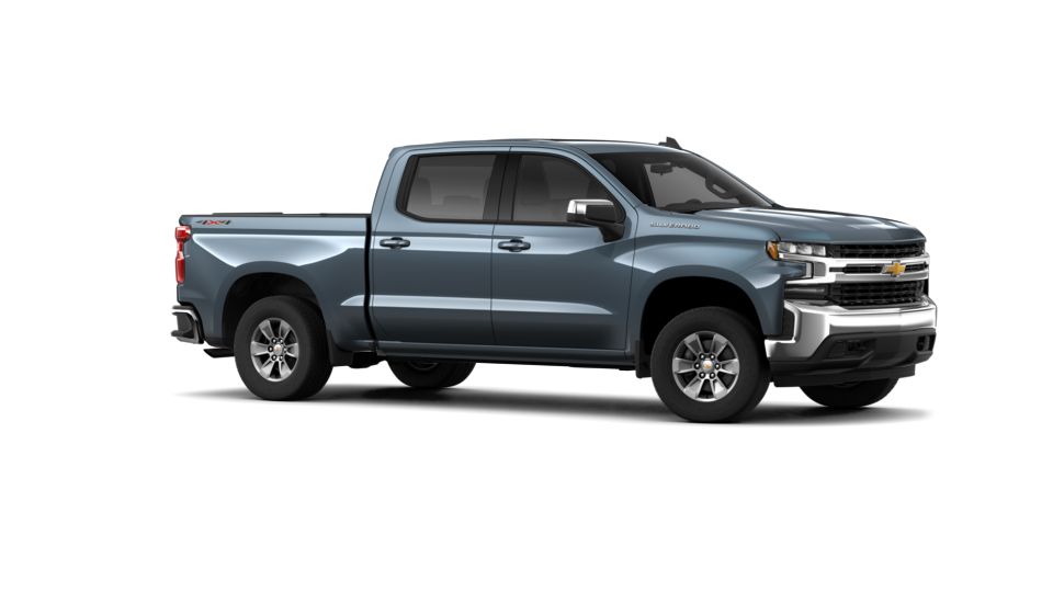 2019 Chevrolet Silverado 1500 Vehicle Photo in SAVANNAH, GA 31406-4513