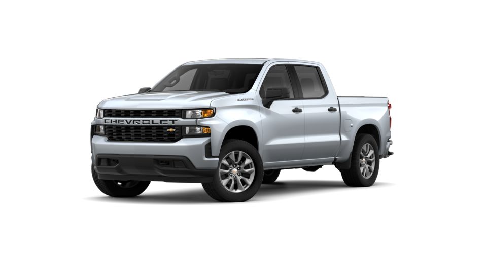 2019 Chevrolet Silverado 1500 Vehicle Photo in BEAUFORT, SC 29906-4218