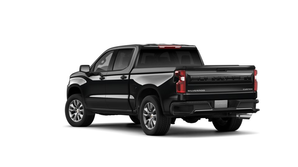 2019 Chevrolet Silverado 1500 Vehicle Photo in LEESBURG, FL 34788-4022