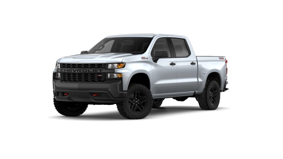 2019 Chevrolet Silverado 1500 Vehicle Photo in COLUMBIA, MO 65203-3903