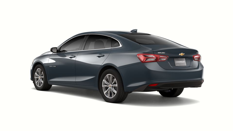 2019 Chevrolet Malibu Vehicle Photo in Brunswick, GA 31525