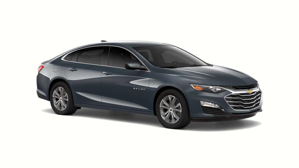 2019 Chevrolet Malibu Vehicle Photo in Brunswick, GA 31525