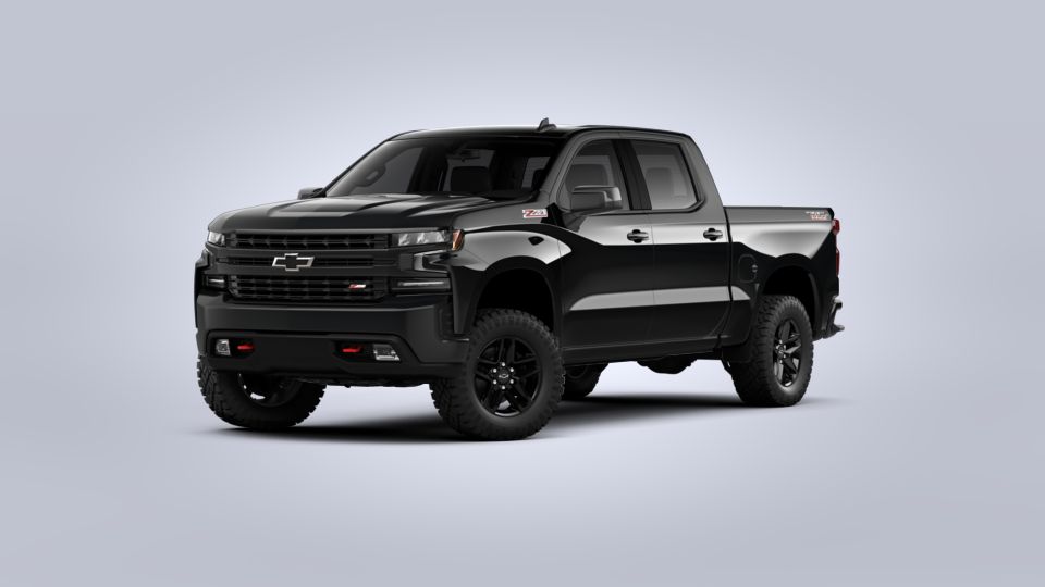 2020 Chevrolet Silverado 1500 Vehicle Photo in POOLER, GA 31322-3252