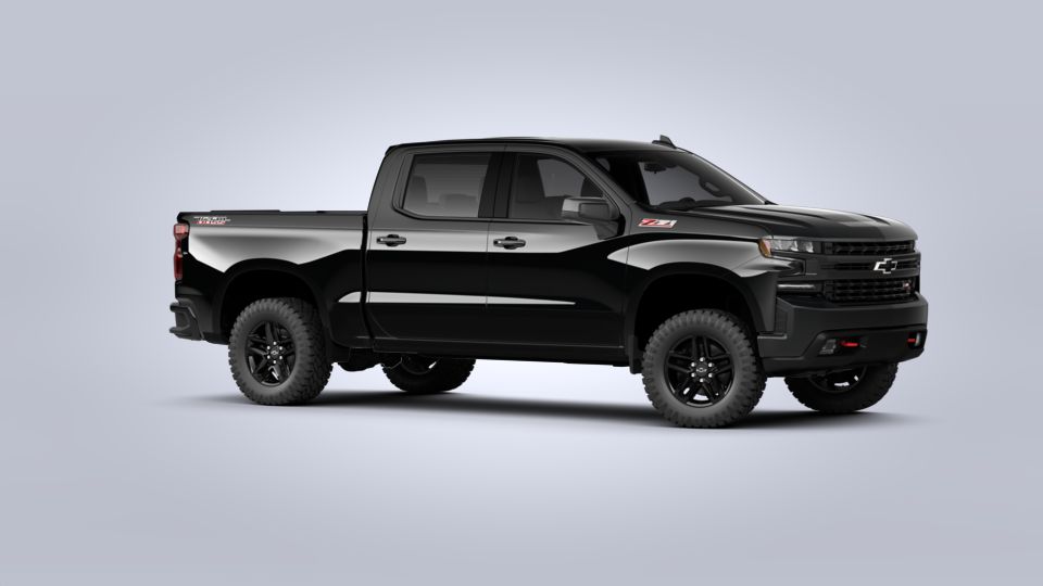 2020 Chevrolet Silverado 1500 Vehicle Photo in POOLER, GA 31322-3252