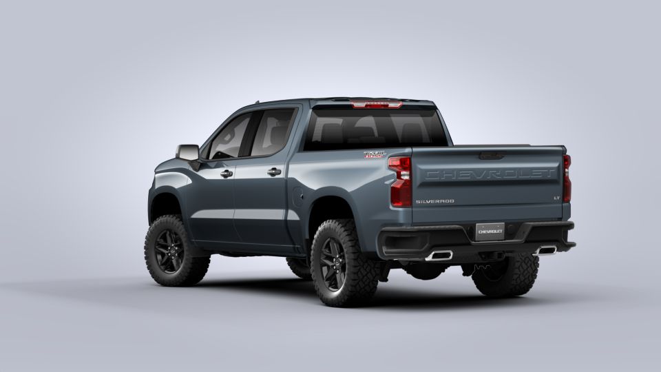 2020 Chevrolet Silverado 1500 Vehicle Photo in INDEPENDENCE, MO 64055-1314