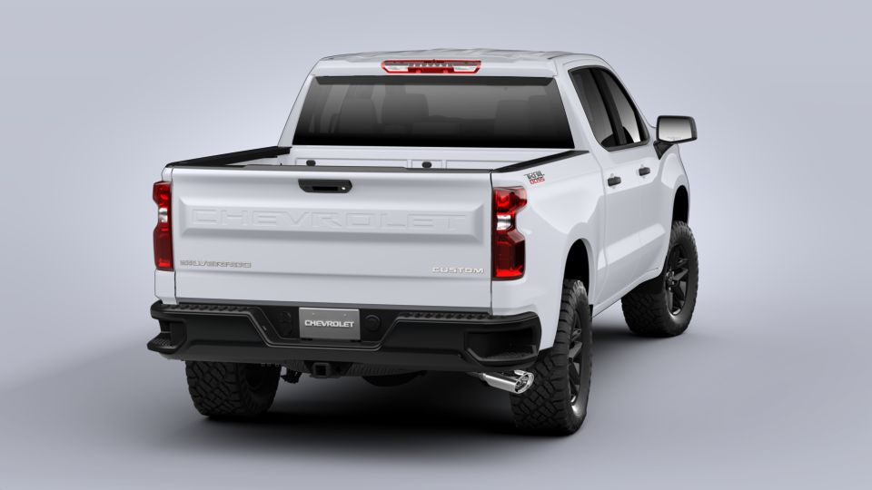 2020 Chevrolet Silverado 1500 Vehicle Photo in BRUNSWICK, GA 31525-1881