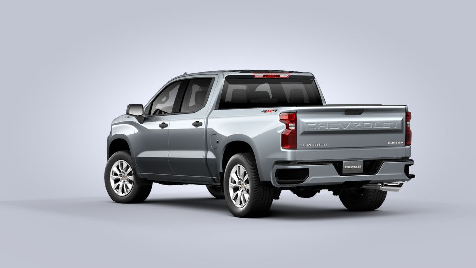 2021 Chevrolet Silverado 1500 Vehicle Photo in Statesboro, GA 30458