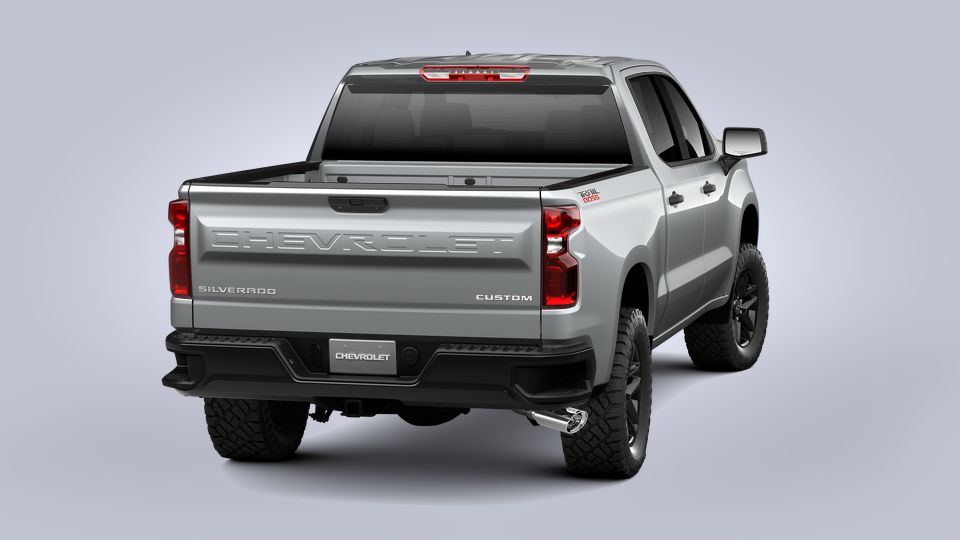 2021 Chevrolet Silverado 1500 Vehicle Photo in LEESBURG, FL 34788-4022