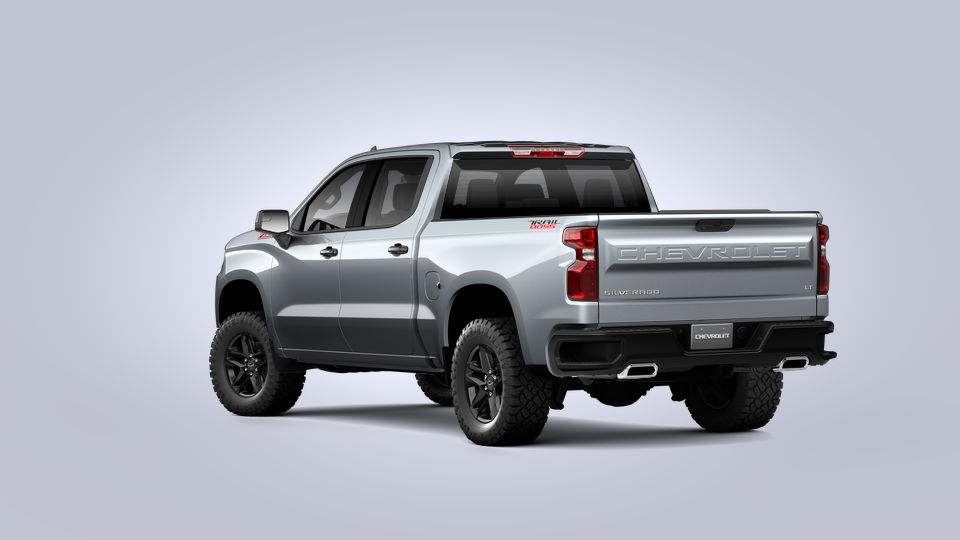2021 Chevrolet Silverado 1500 Vehicle Photo in San Antonio, TX 78209