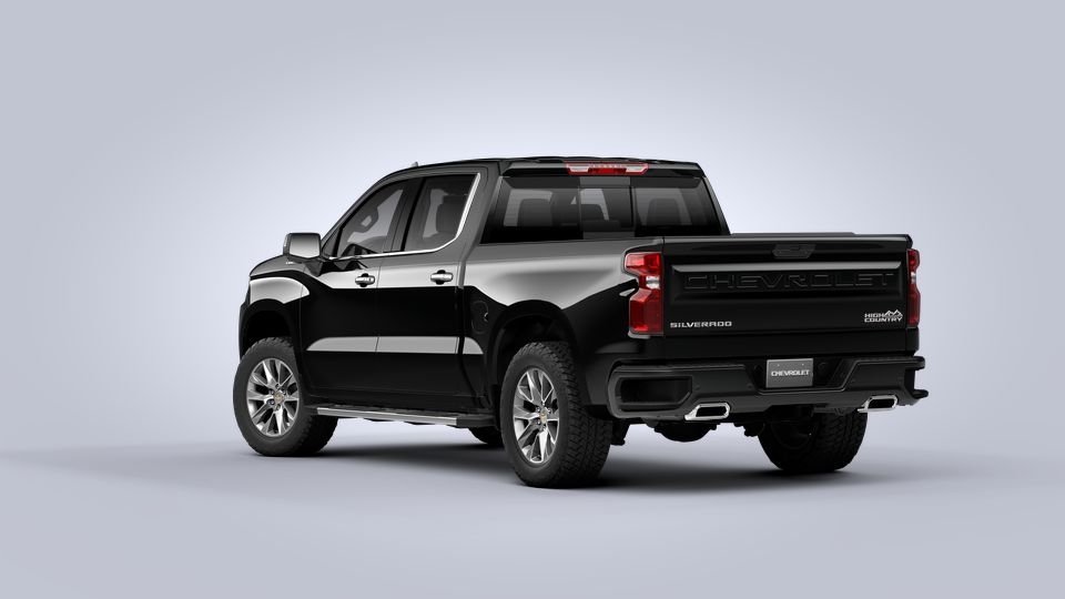 2021 Chevrolet Silverado 1500 Vehicle Photo in SELMA, TX 78154-1459