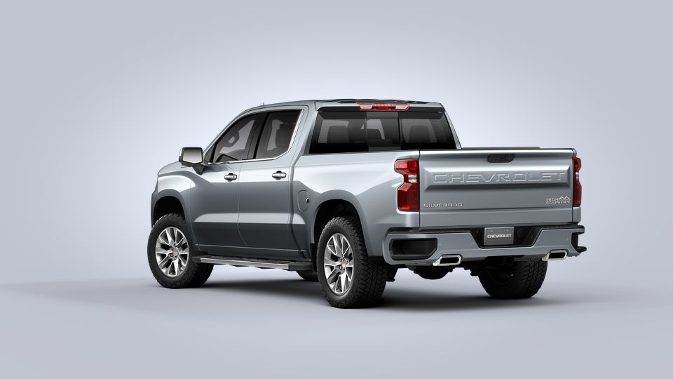 2022 Chevrolet Silverado 1500 LTD Vehicle Photo in SELMA, TX 78154-1460
